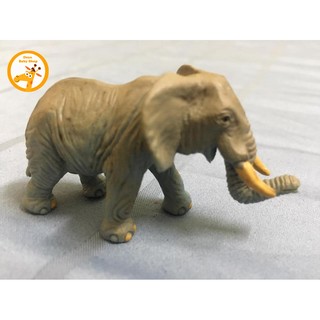 MÔ HÌNH 36 ĐỘNG VẬT HOANG DÃ