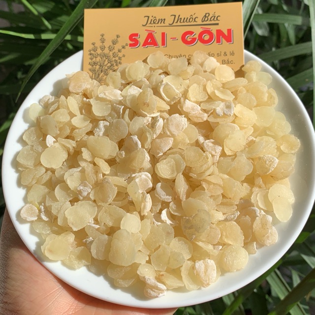 Hạt Bồ Mễ (Tuyết Liên Tử) 500gram | Tiệm Thuốc Bắc Sài Gòn