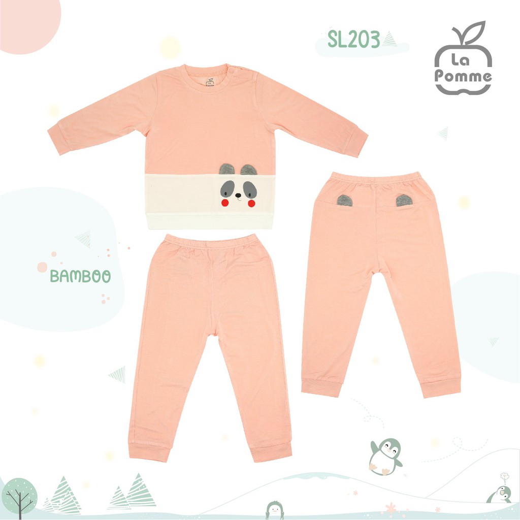 BỘ DÀI GẤU TRÚC