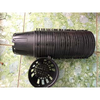Combo 40 chậu nhựa đen Phi 12