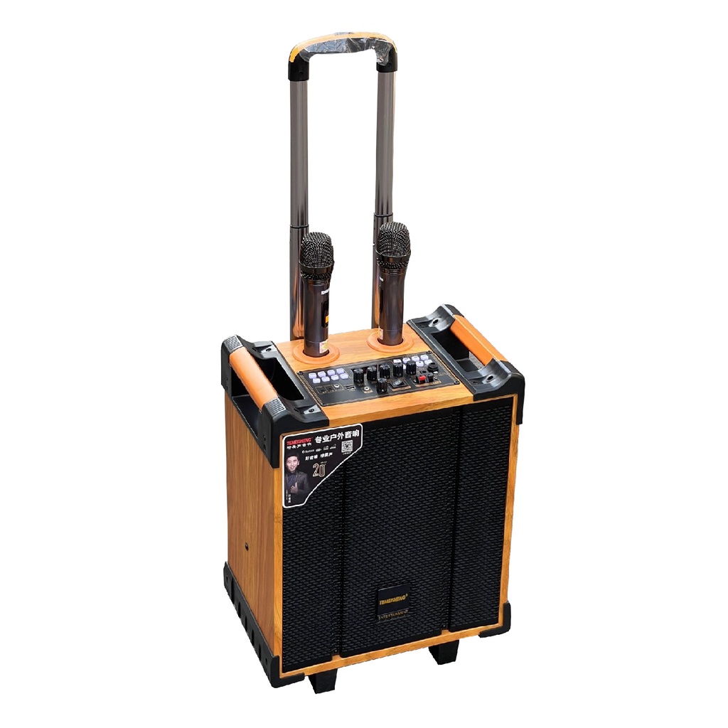 Loa kéo di động Temeisheng QX-0870