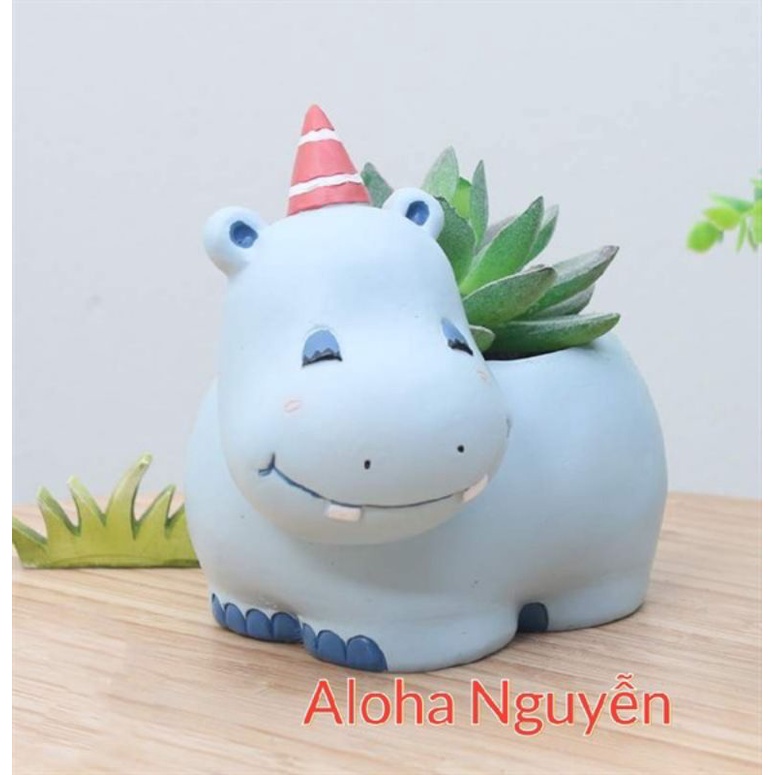 Chậu hà mã xanh happy,mua 1 tặng kèm 1 sen đá