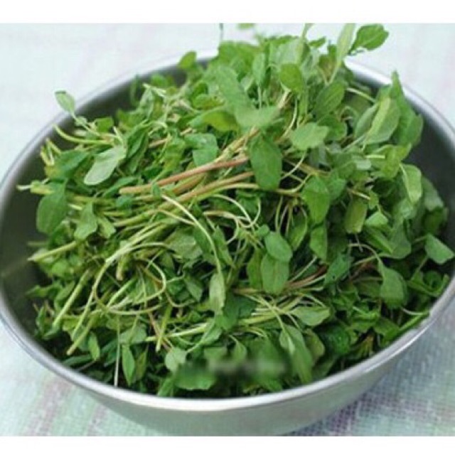 Hạt giống rau dền, dền tía, dền gai, dền cơm