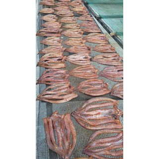 1con khô cá lóc (giá dùng thử)