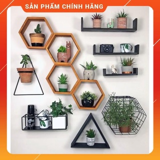 Kệ gỗ trang trí/kệ lục giác