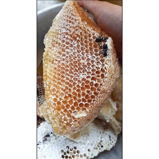 Mật Ong Rừng U Minh