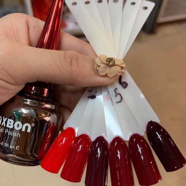 Sơn mxbon 1 séc  6 chai