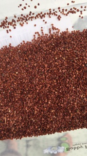 [Hoàn 10.000 xu] Hạt ngũ hoa 1kg- Loại 1Handmade