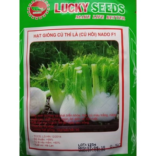 Hạt giống củ thì là ( củ hồi ct357 - gói 50 hạt