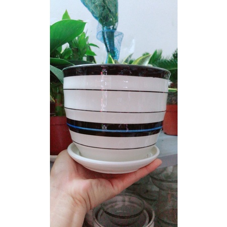 Chậu Trồng Cây