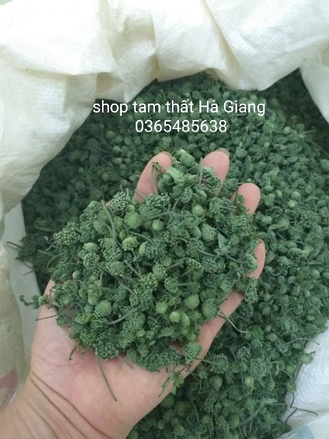 Hoa (nụ) tam thất bắc  loại đẹp 300g) đặc sản Hà Giang