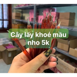 Cây lấy khoé xinh xắn