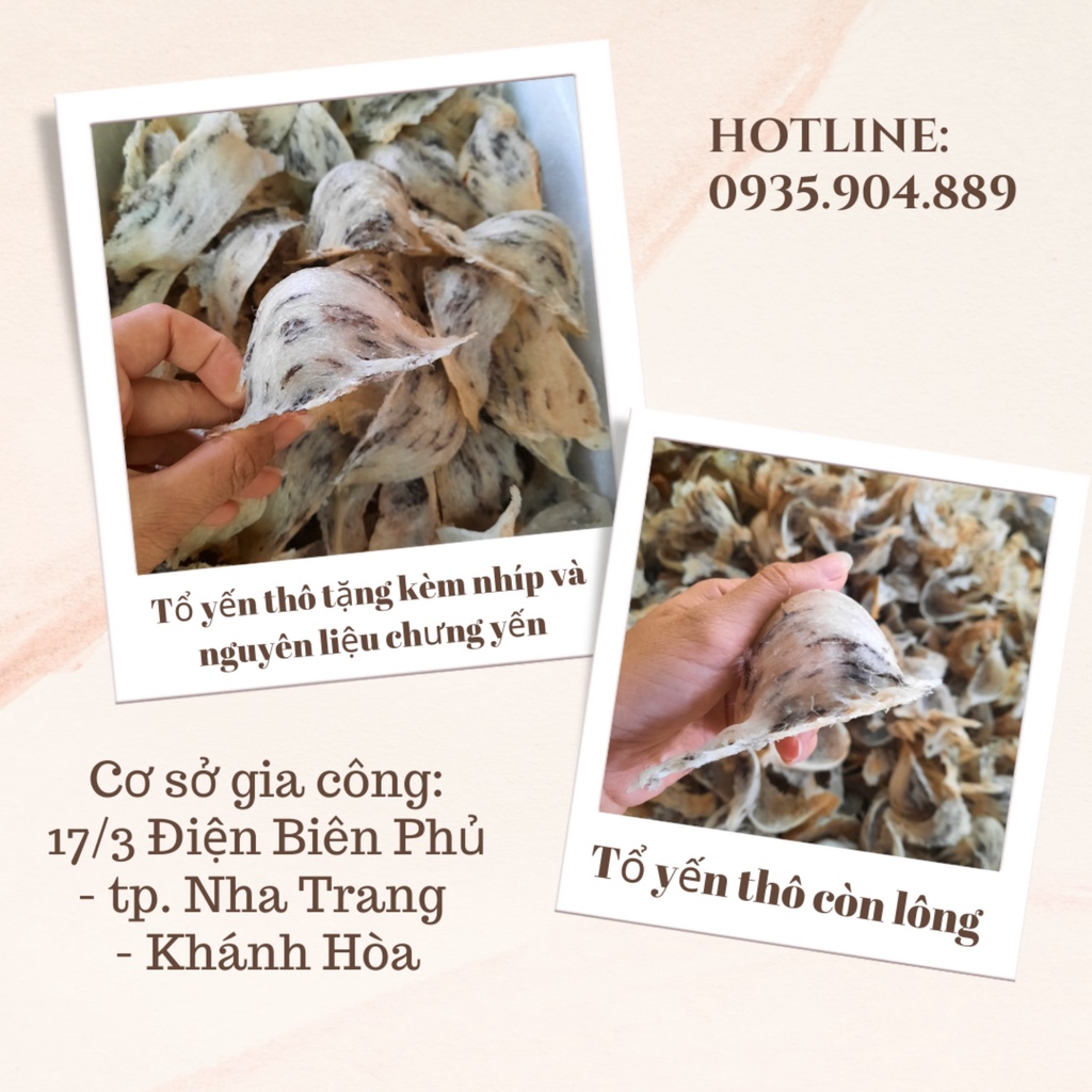 100gr tổ yến thô nguyên chất tặng nhíp, táo đỏ, đường phèn, hạt chia. Yến sào thô