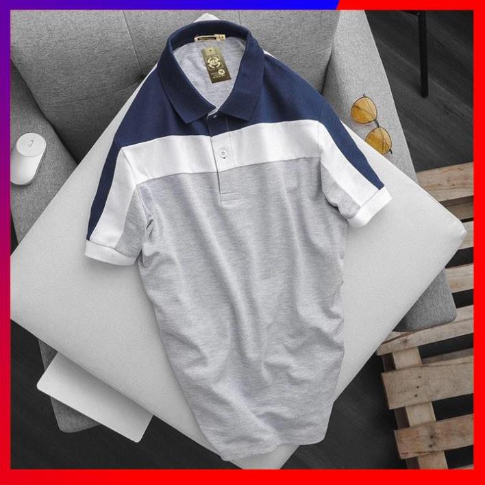[FREESHIP – HÀNG CHẤT] Áo Thun Nam Polo - Cổ Bẻ Tay Ngắn Phối 3 Màu, Thun Cá Sấu 65/35 4 Chiều Cao Cấp  | BigBuy360 - bigbuy360.vn