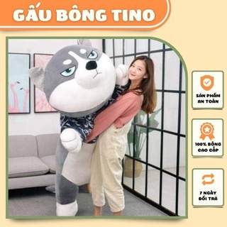 Gấu Bông Chó Husky TINO To Đẹp Gối Ôm Ngủ Cho Người Lớn Mềm Mịn Đáng Yêu Mặt Ngáo