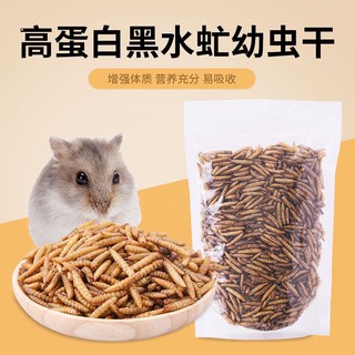 wax worm ( sâu sữa /sáp ) sấy khô cho hamster/sóc/chim