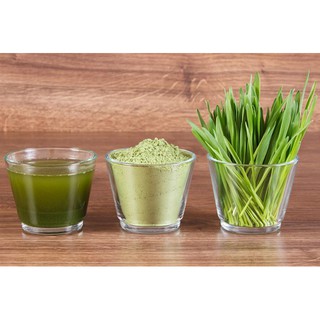 Bột mầm lúa mạch Aojiru rau quả lên men 72g(3g x 24 gói)
