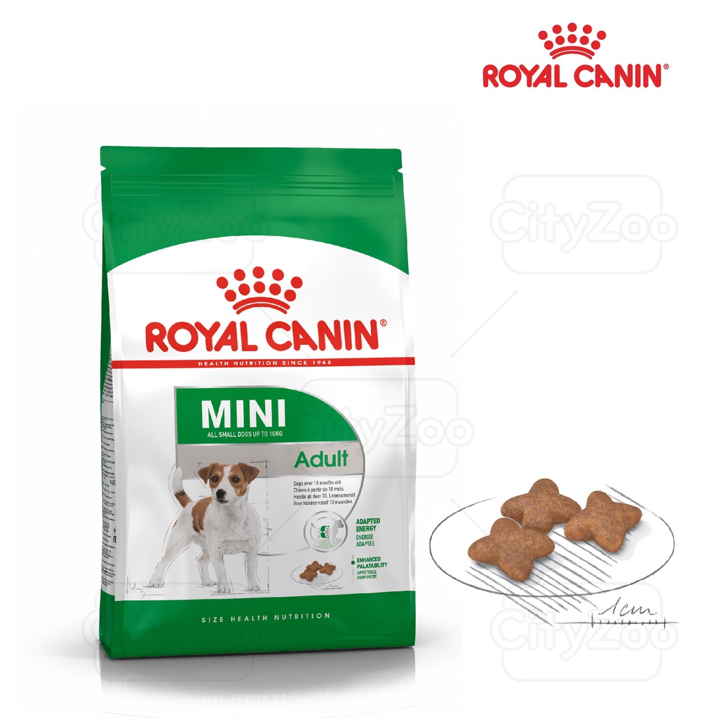 THỨC ĂN CHO CHÓ Dạng hạt ROYAL CANIN MINI All small dogs up to 10kg Adult Gói 800g Chế độ dinh dưỡng hoàn chỉnh Cân đối