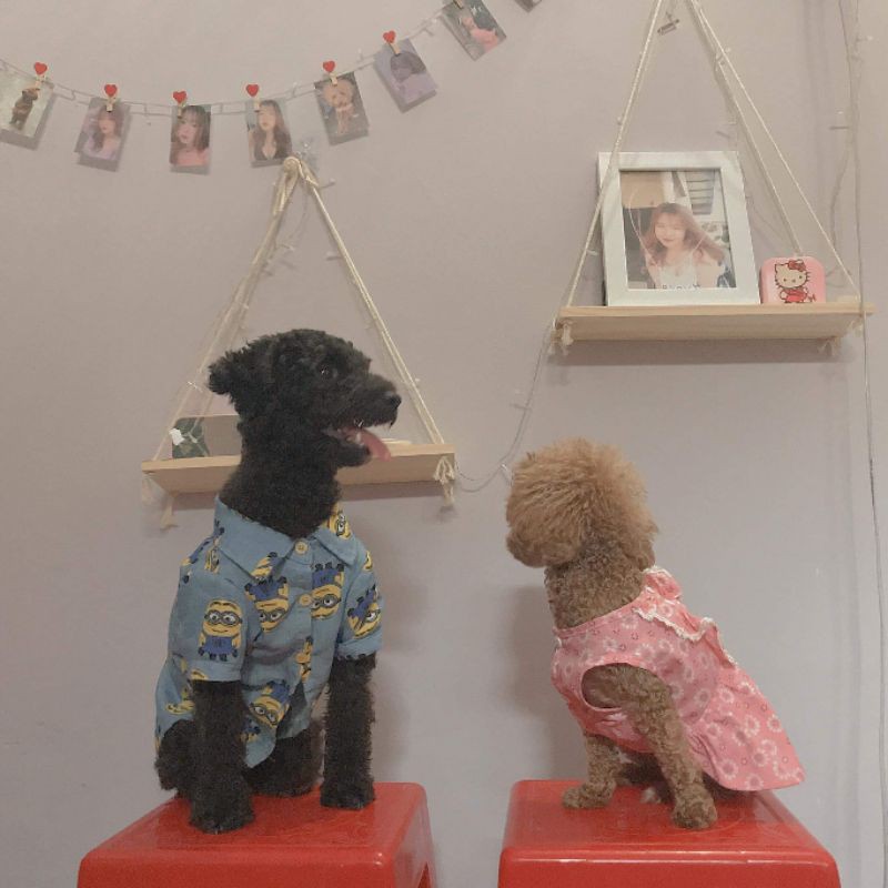 SET 4 kệ 112k / Kệ treo tường giá rẻ nhất thị trường Decor | BigBuy360 - bigbuy360.vn