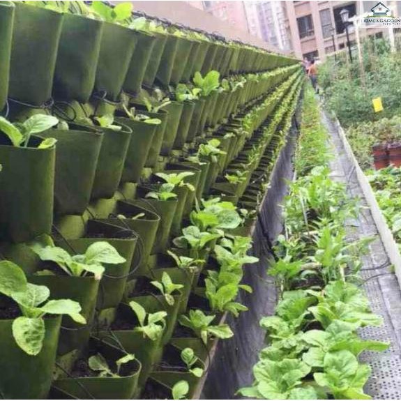 Túi trồng cây cảnh, rau sạch treo tường tại nhà 1x1m (49 túi)