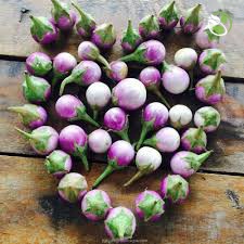 Hạt Giống Cà Pháo Tím Cao Sản 125 Phú Nông - Gói 0.5g - Eggplant Violet Ball