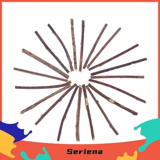 Set 5 que gỗ catnip bạc hà cho mèo
