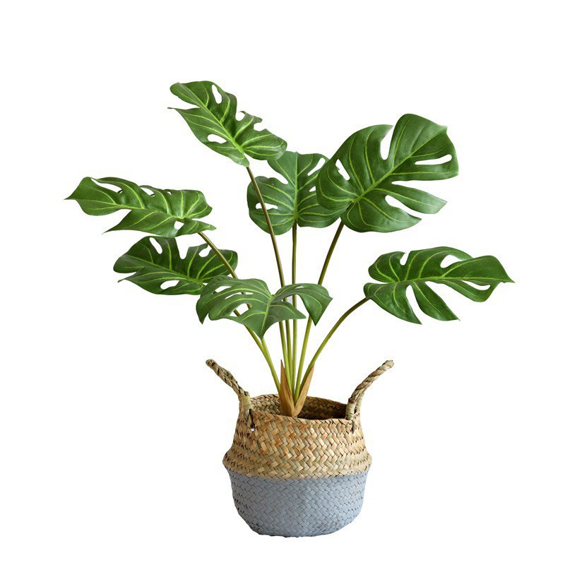 Monstera Lá Xanh Nhân Tạo Trang Trí Nhà Cửa cây hoa giả trang trí nhà cây giả