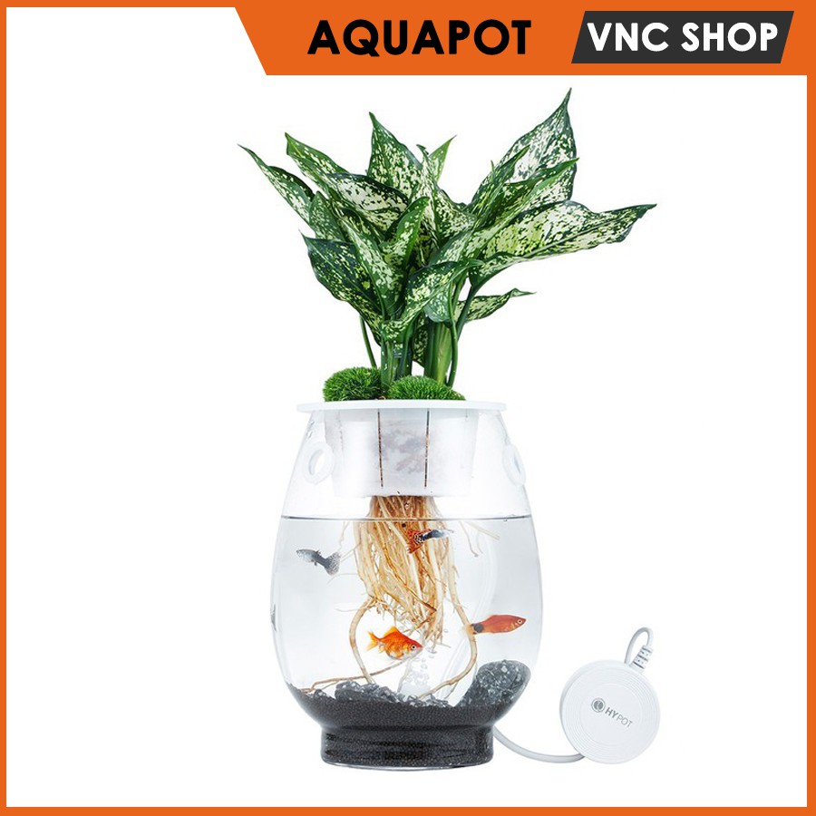 Bể cá thủy tinh kết hợp trồng cây AQUPOT Hàn Quốc