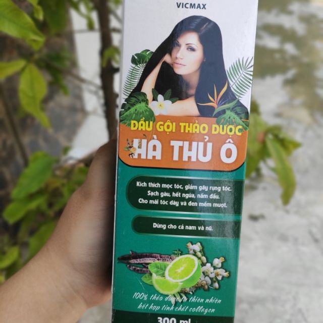Dầu gội thảo dược mọc tóc, bồ kết mềm mượt giá hấp dẫn