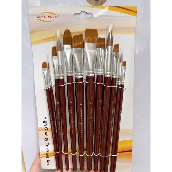 Bộ bút lông nâu 12 cây Artpower