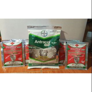 Combo đặc trị nấm khuẩn ( thối nhũn) 4 gói starner + 1gói antracol
