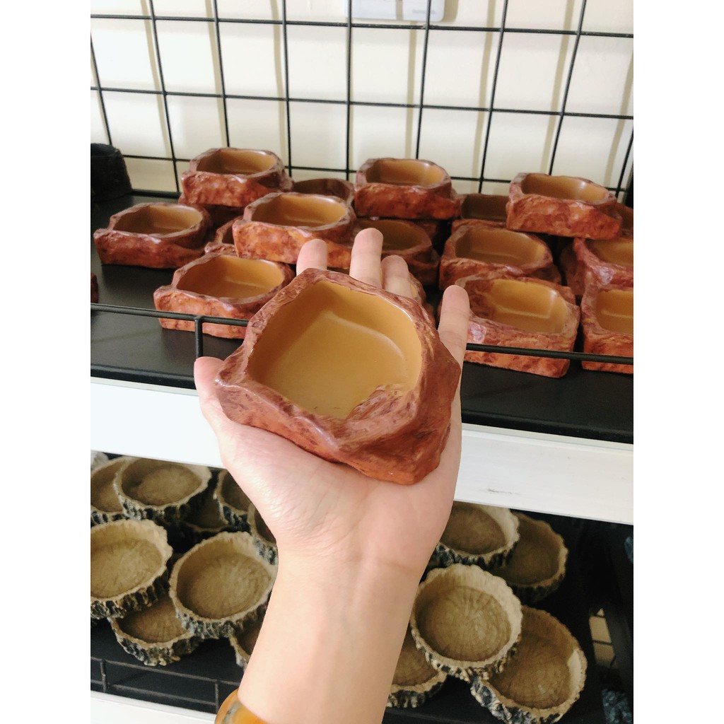 Chén ăn, chén nước cho bò sát