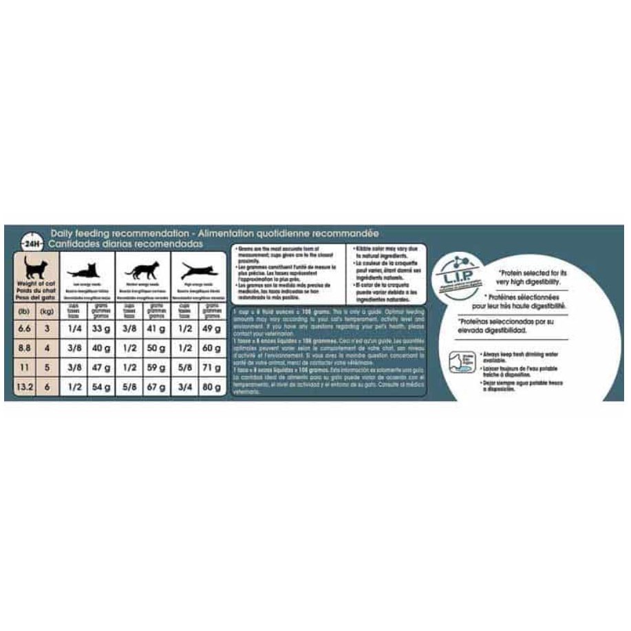 Thức Ăn Cải Thiện Da Và Lông Cho Mèo Royal Canin Hair &amp; Skin Care - Gói 400g - Thực Phẩm Nhập Khẩu Chính Hãng