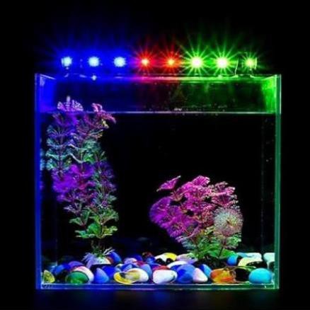 Đèn LED CAIBAO T4 nhiều màu cho hồ cá cảnh - phụ kiện thủy sinh cá tép cảnh