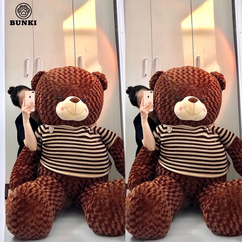 GẤU BỒNG TEDDY SÔCÔLA 1M75 KHỔ VẢI CAO 1M55 CAO CẤP BUNKI ẢNH THẬT