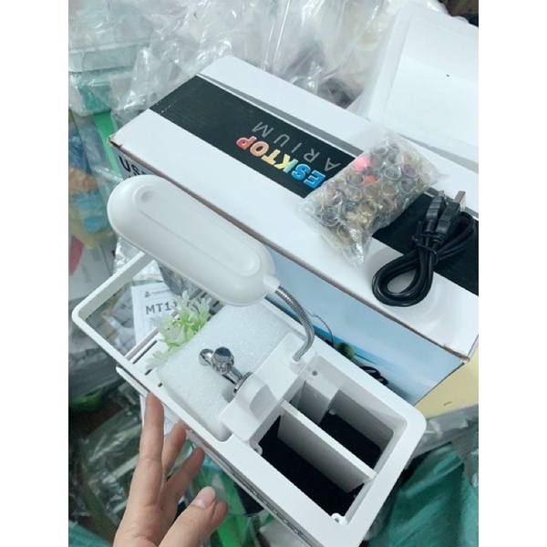 Bể cá mini kiêm đồng hồ để bàn