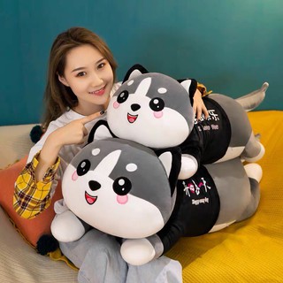 Chó Husky Bông siêu Bự, Thú bông Chó Husky - Mèo Husky Bông Gòn Cao Cấp VNXK