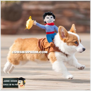 Đồ hiệp sĩ cao bồi cho chó mèo