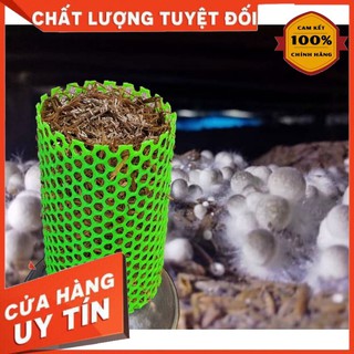 Phôi Nấm Rơm HƯNGQS Siêu Chất Lượng Trồng Tại Nhà Có Khuôn Lưới Chăm Sóc Cực Dễ (phôi 2kg)