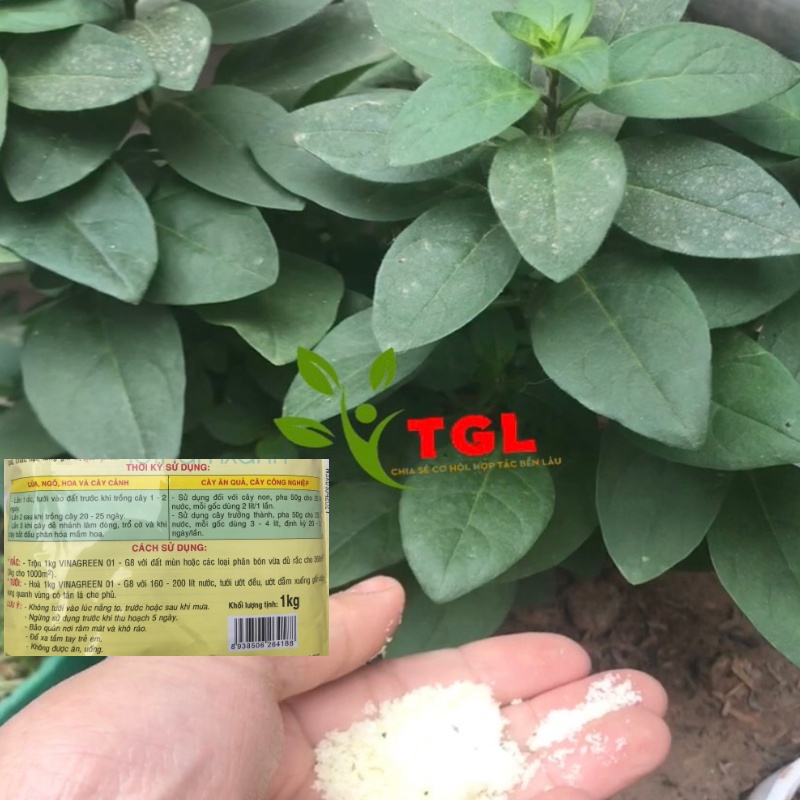 Phân bón vi lượng VINAGREEN 01 - G8 - Phân bónTưới Gốc - Kích Thích Siêu Ra Rễ Hạn Chế Ngộ Độ Hưu Cơ- Gói 1kg