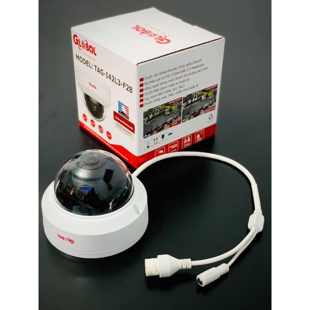 Camera IP đầu thu Global TAG-I42L3-F28 Dome 1080P