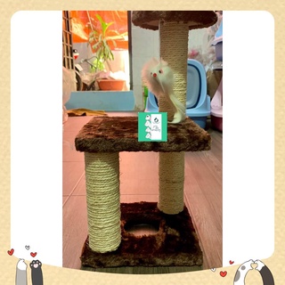 Trụ cào móng mèo