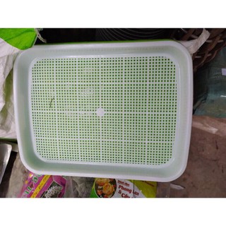 Combo 10 khay trồng rau mầm