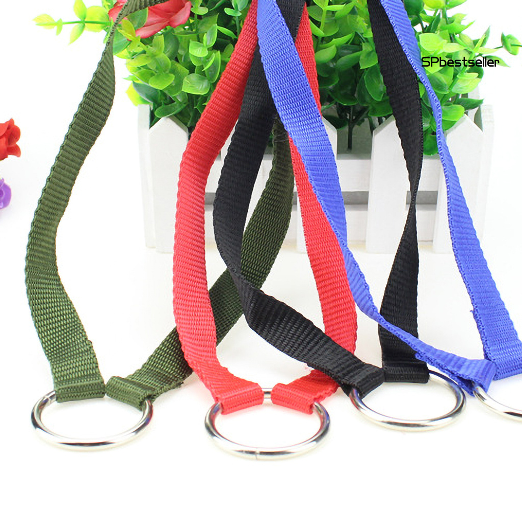 Dây Dắt Thú Cưng Đi Dạo