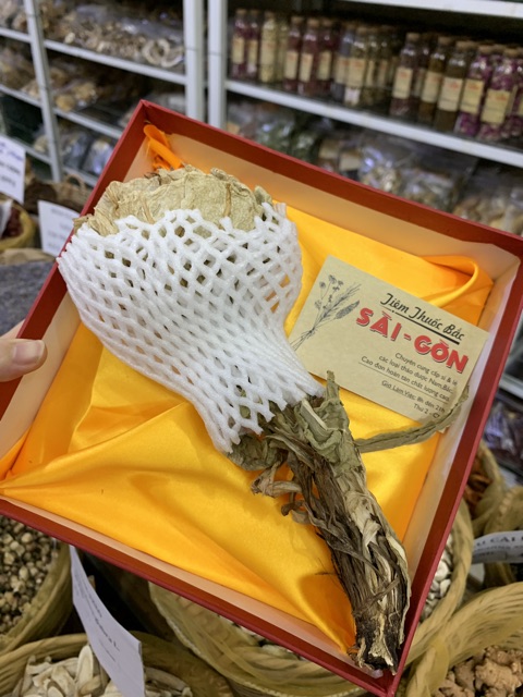 Thiên Sơn Tuyết Liên 1 Bông