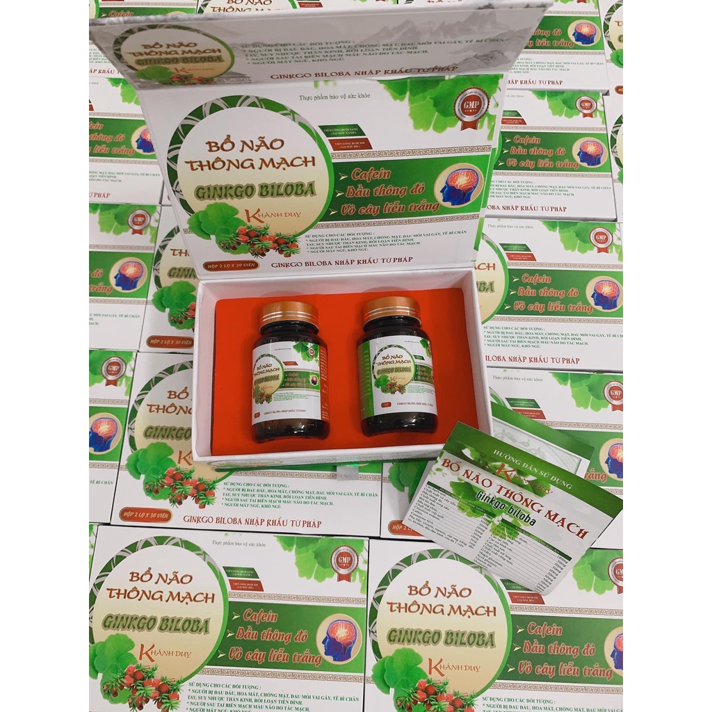 Bổ não thông mạch Gikobiloba