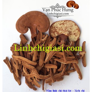 500gr Nấm linh chi thái lát - Vanphuchung