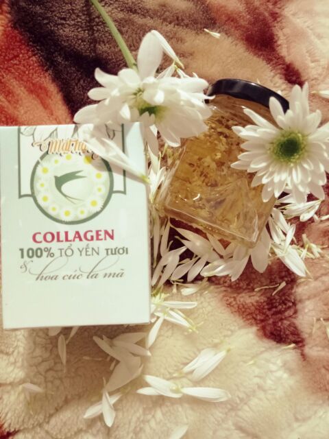 MẶT NẠ  NGỦ  COLLAGEN  TỔ  YẾN  TƯƠI  HOA  CÚC  LA  MÃ