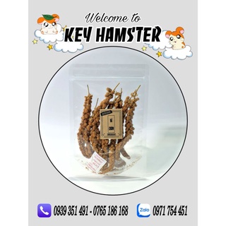 Kê chùm - dày lông, mượt lông hamster.