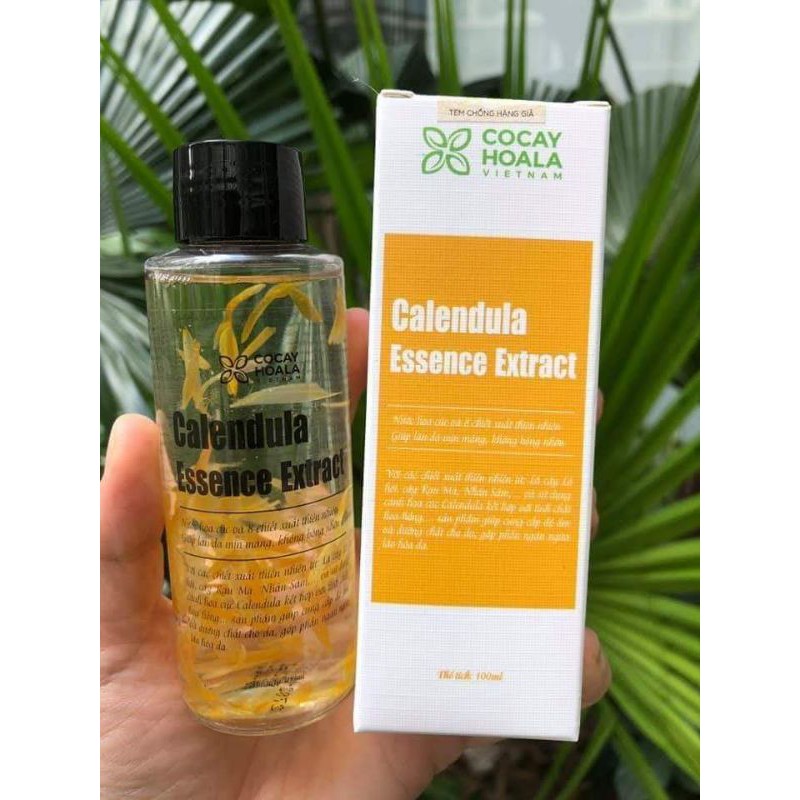 Nước thần hoa cúc 2in1 Cocayhoala cấp ẩm tức thì, trẻ hóa làn da sau 10 ngày Calendula Essence Extract 100ml | BigBuy360 - bigbuy360.vn